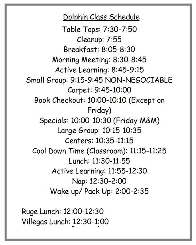 Daily Schedule 